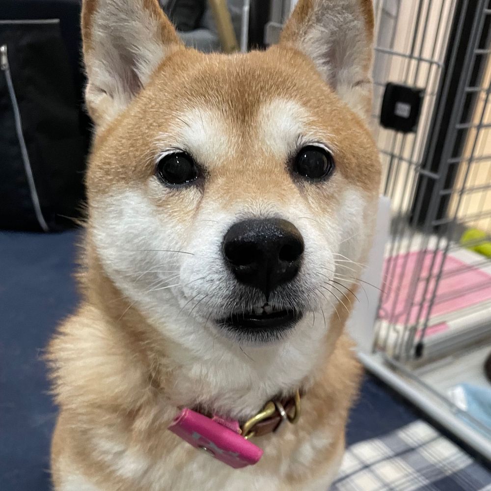 mu-chan