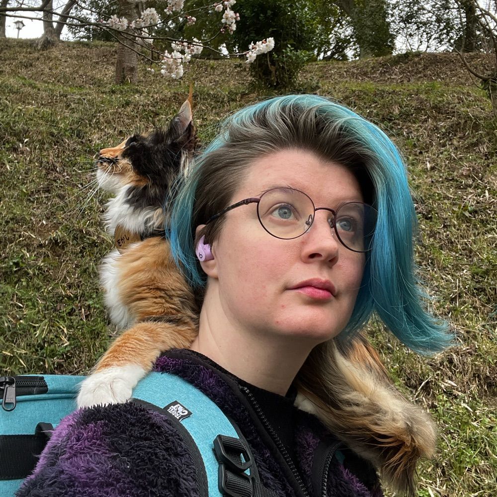 Nyanstop Adventures