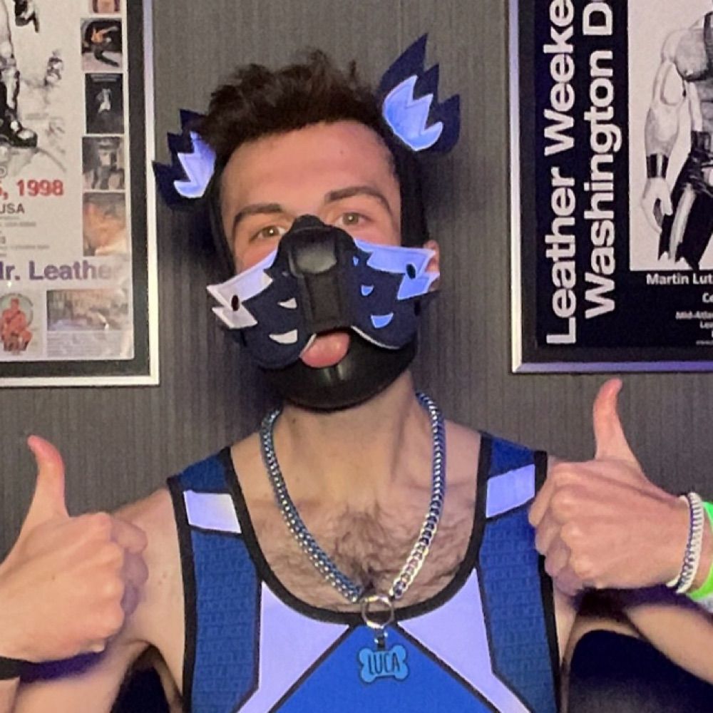 Pup Luca