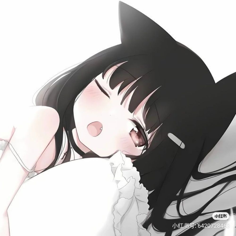 cat ❤︎︎