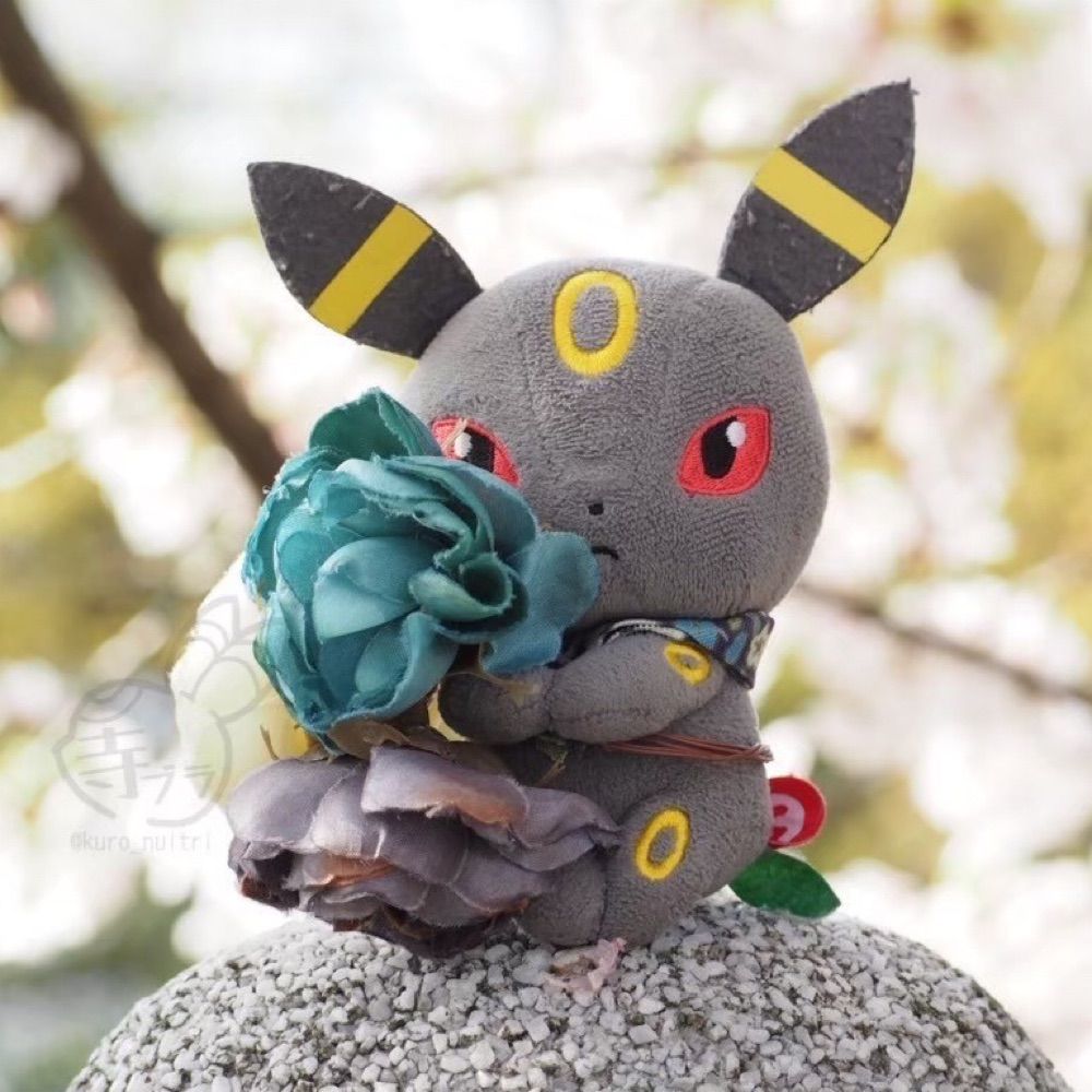 お寺によく行くブラッキー