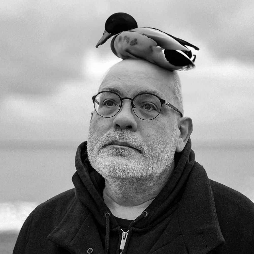 David White