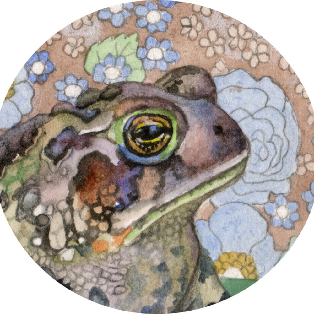Toad 