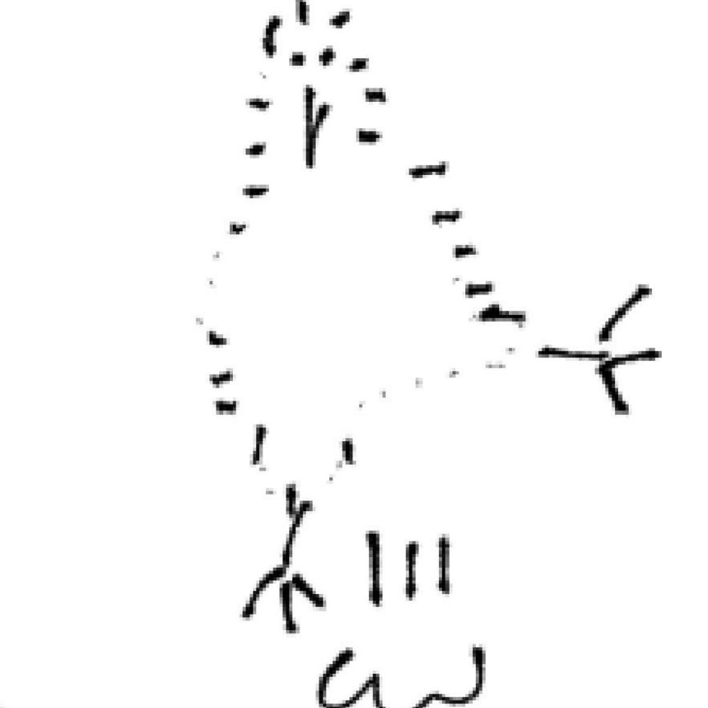 ぼし