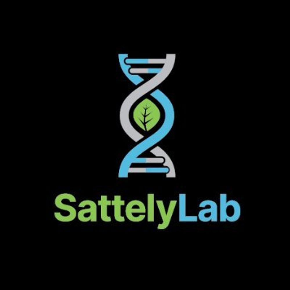 SattelyLab
