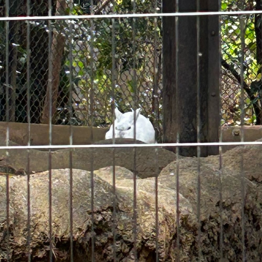 のちむゆ