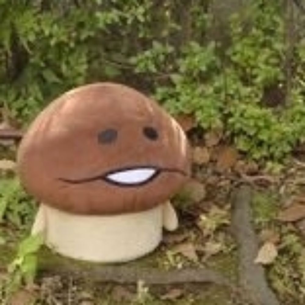 섯팡
