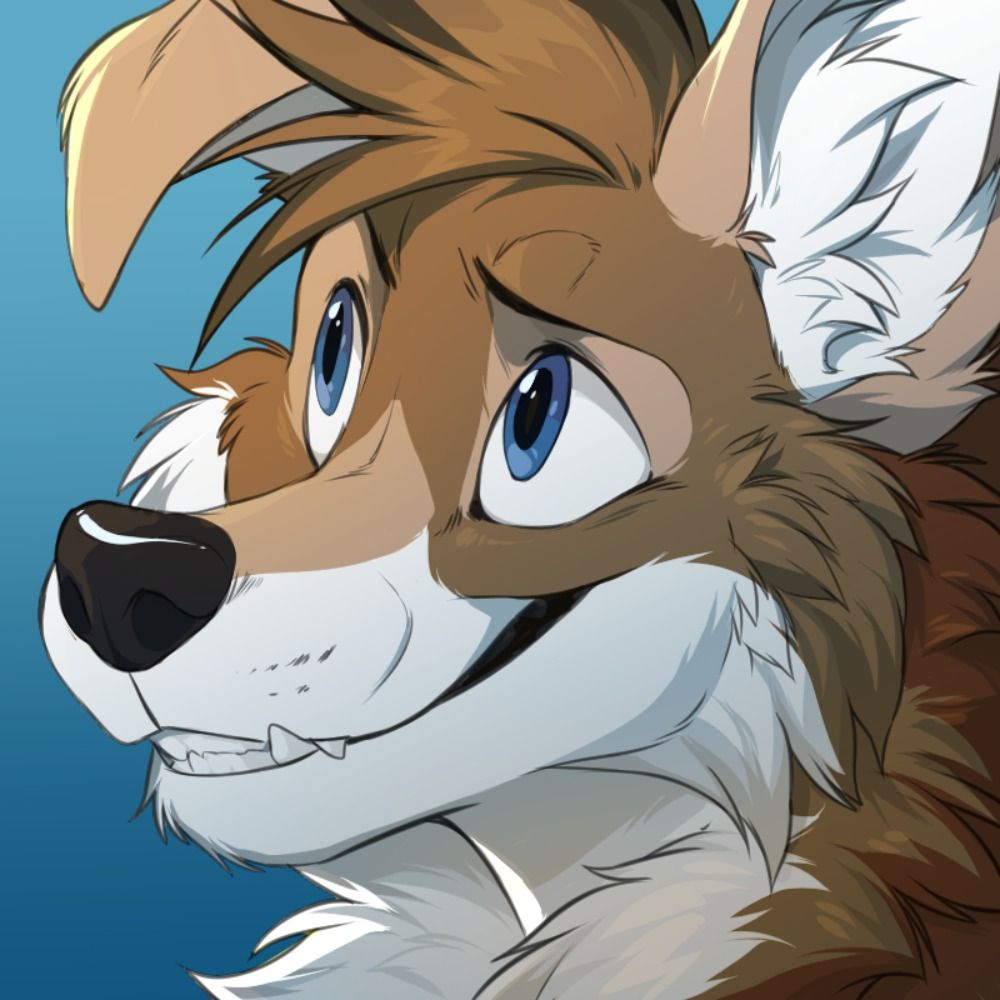 TJCoyote