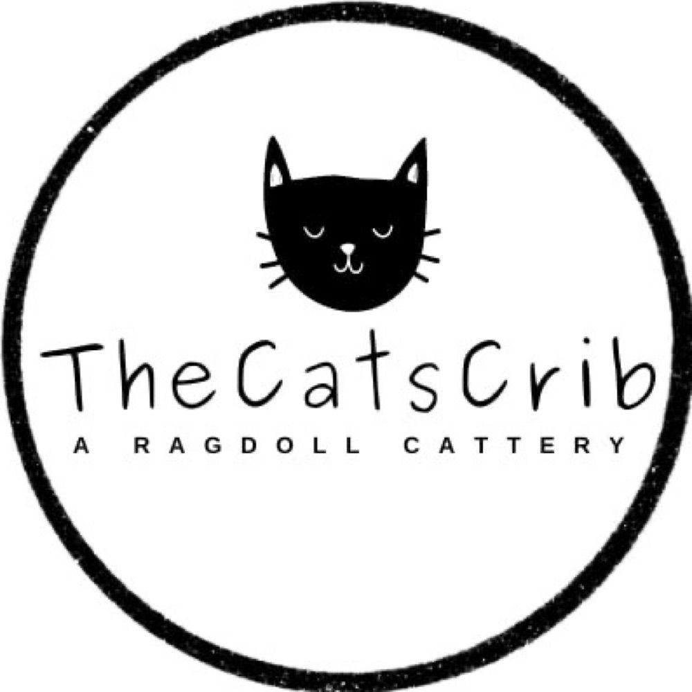 The Cats Crib