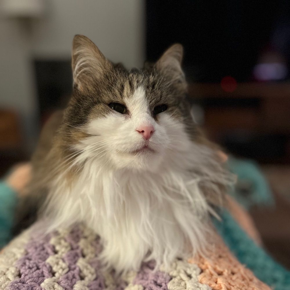 Molly