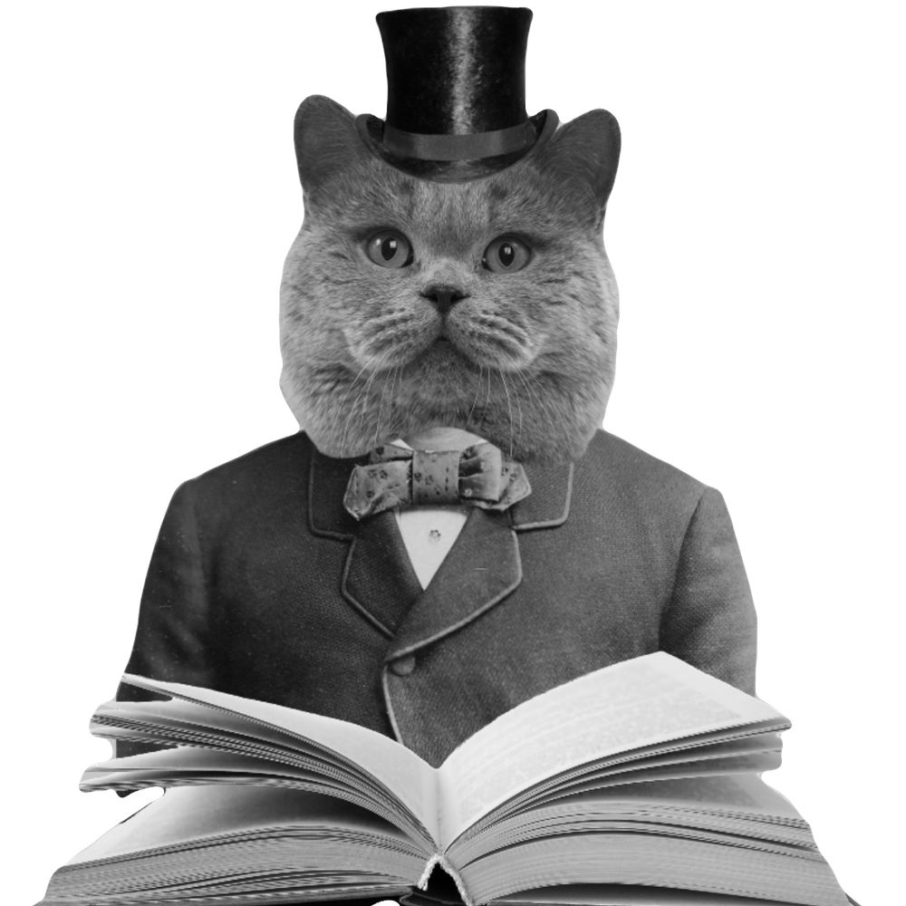 The History Cat