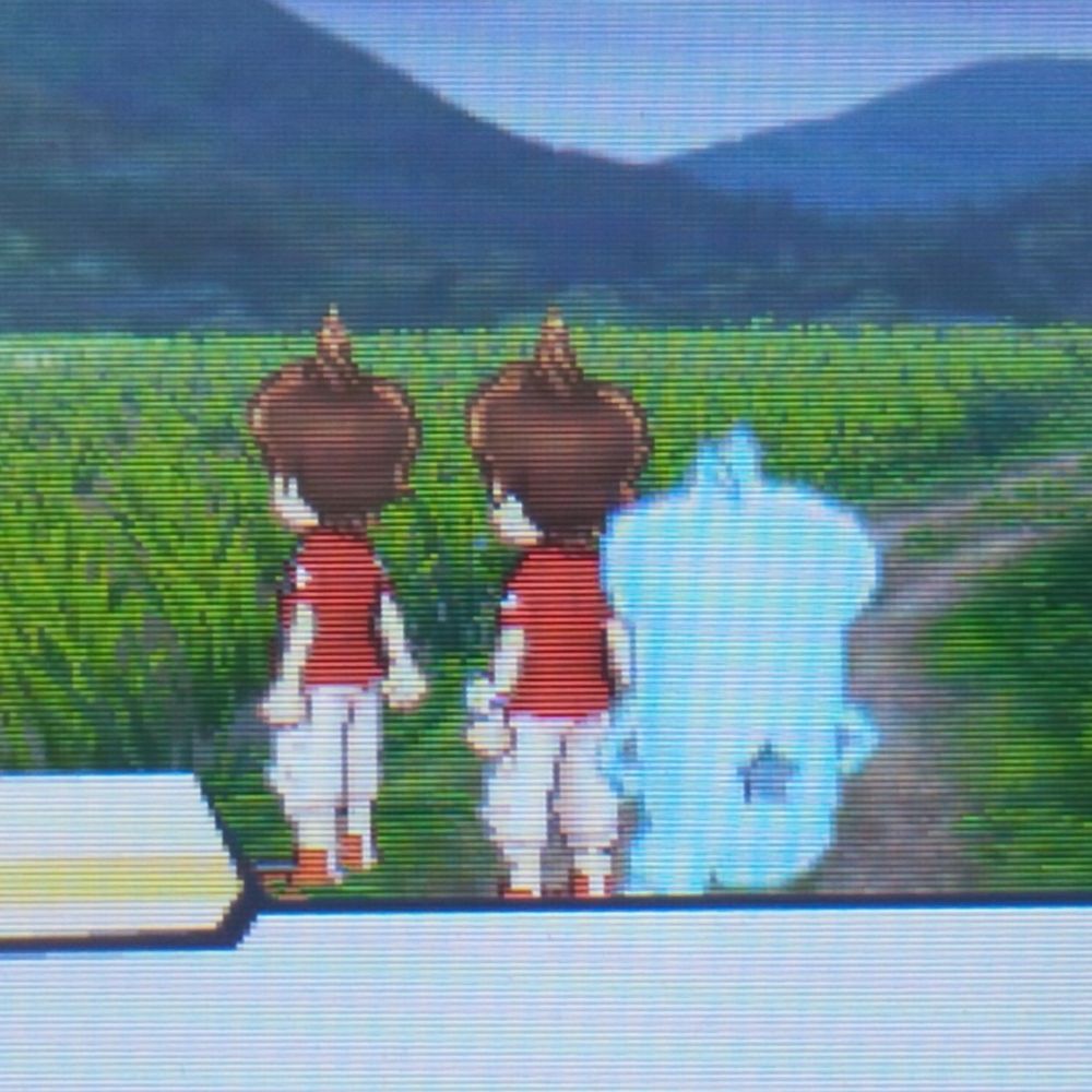 せんよし