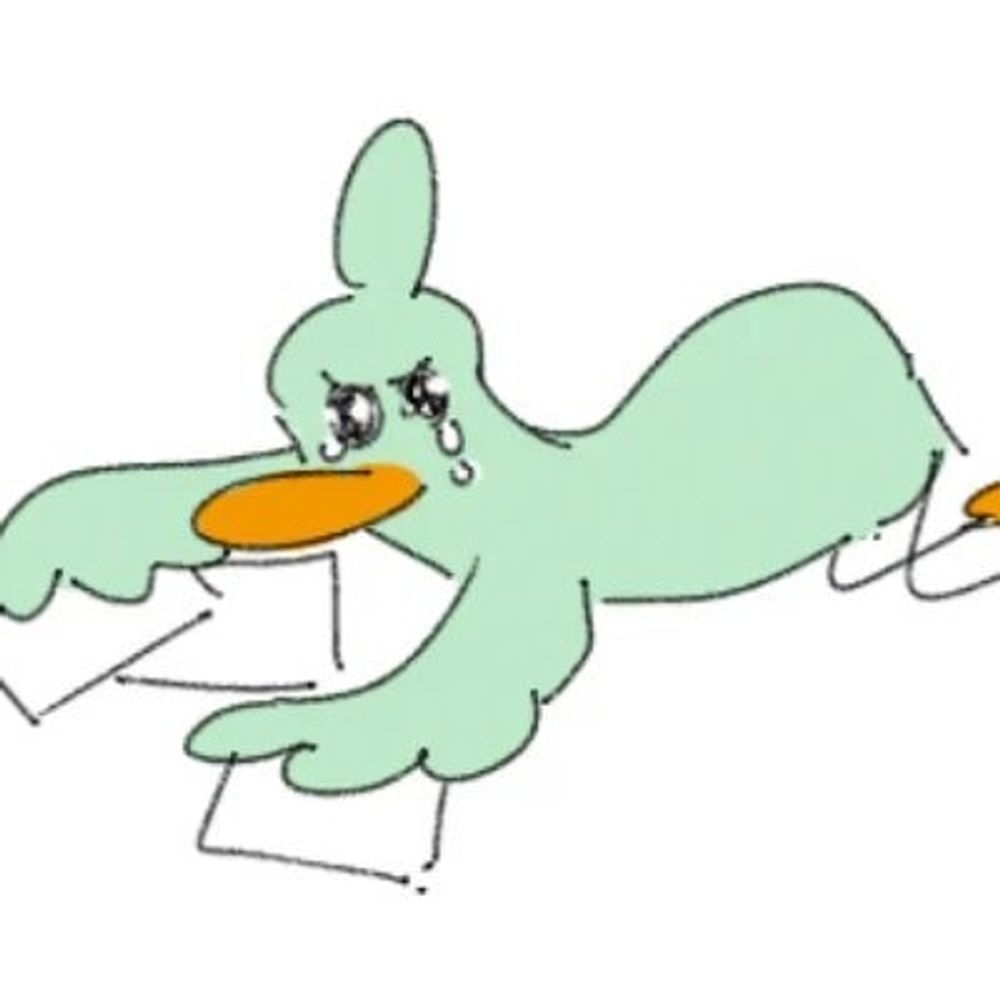 Angry.Z.Duckie👽🎗