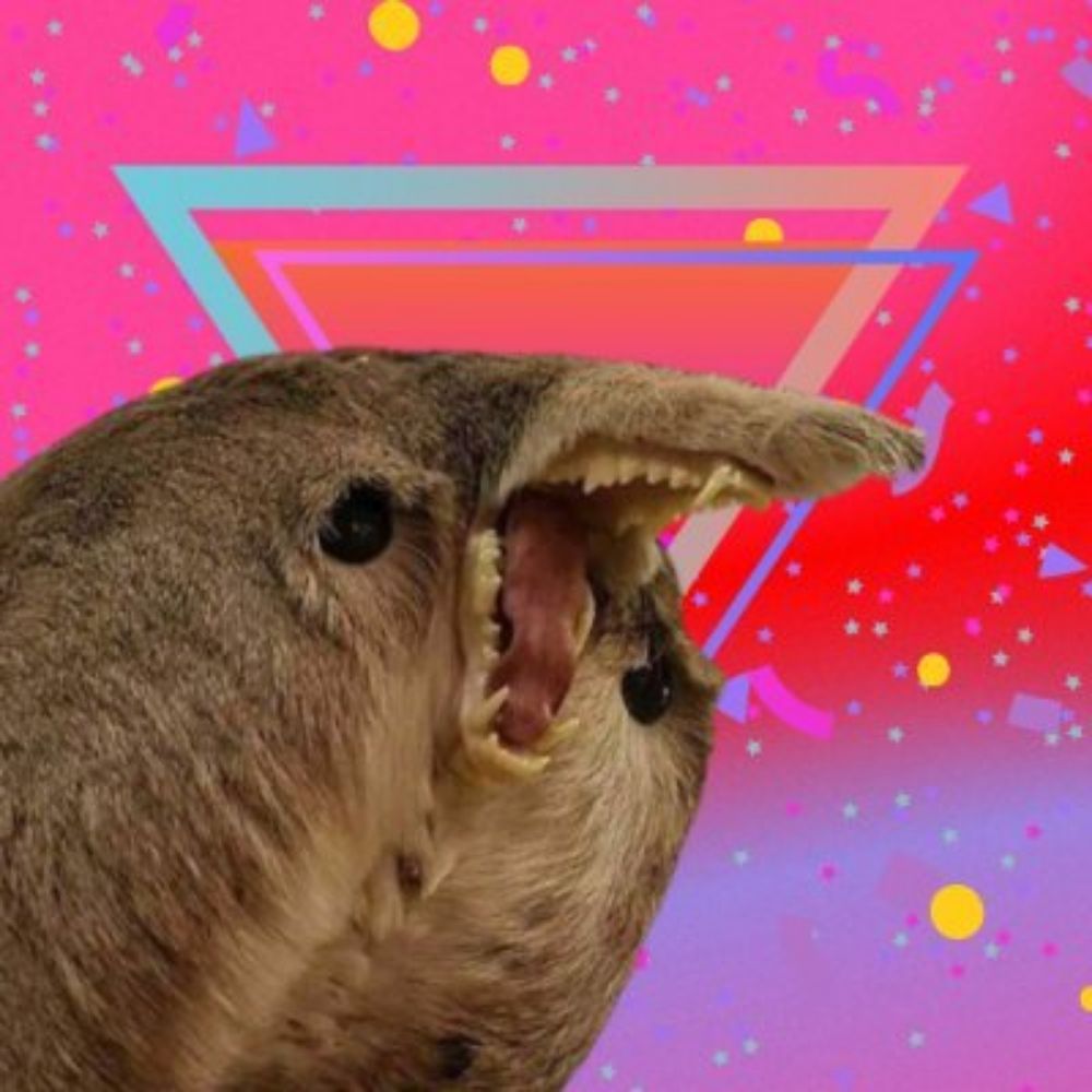 bigmcbaby.bsky.social