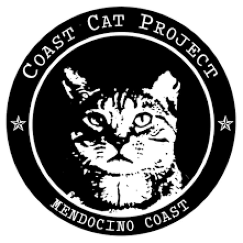 Profile picture coastcatproject.bsky.social