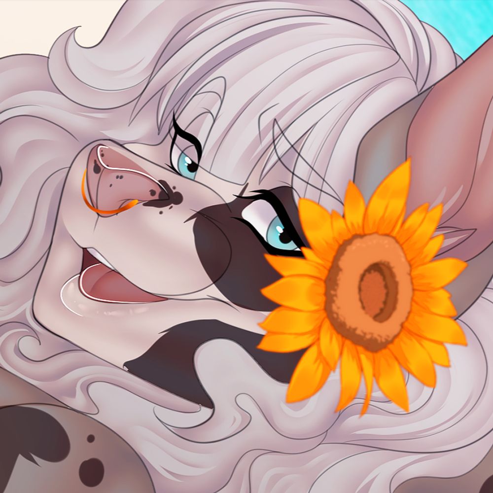 Kori the Shorkuterie