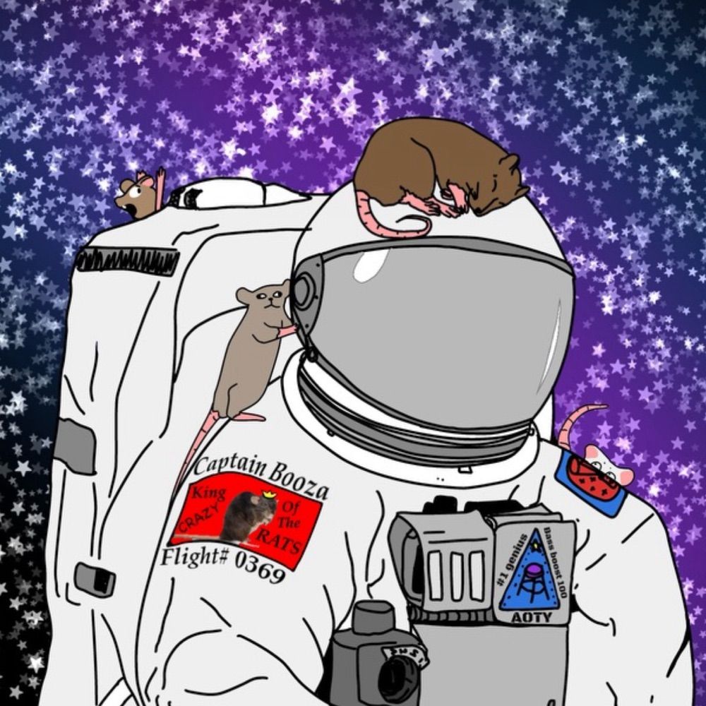 The King Of Space Rats