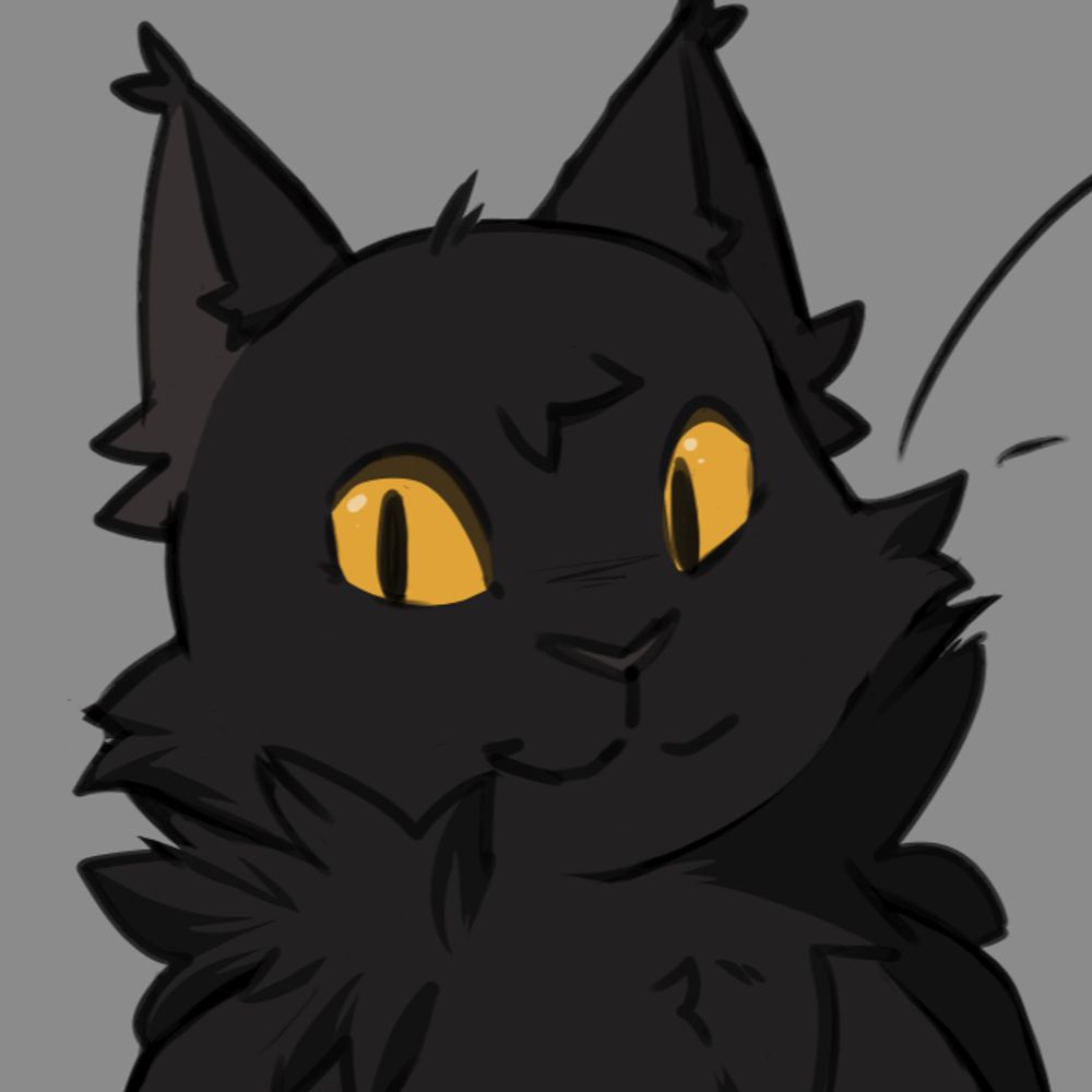 cat?