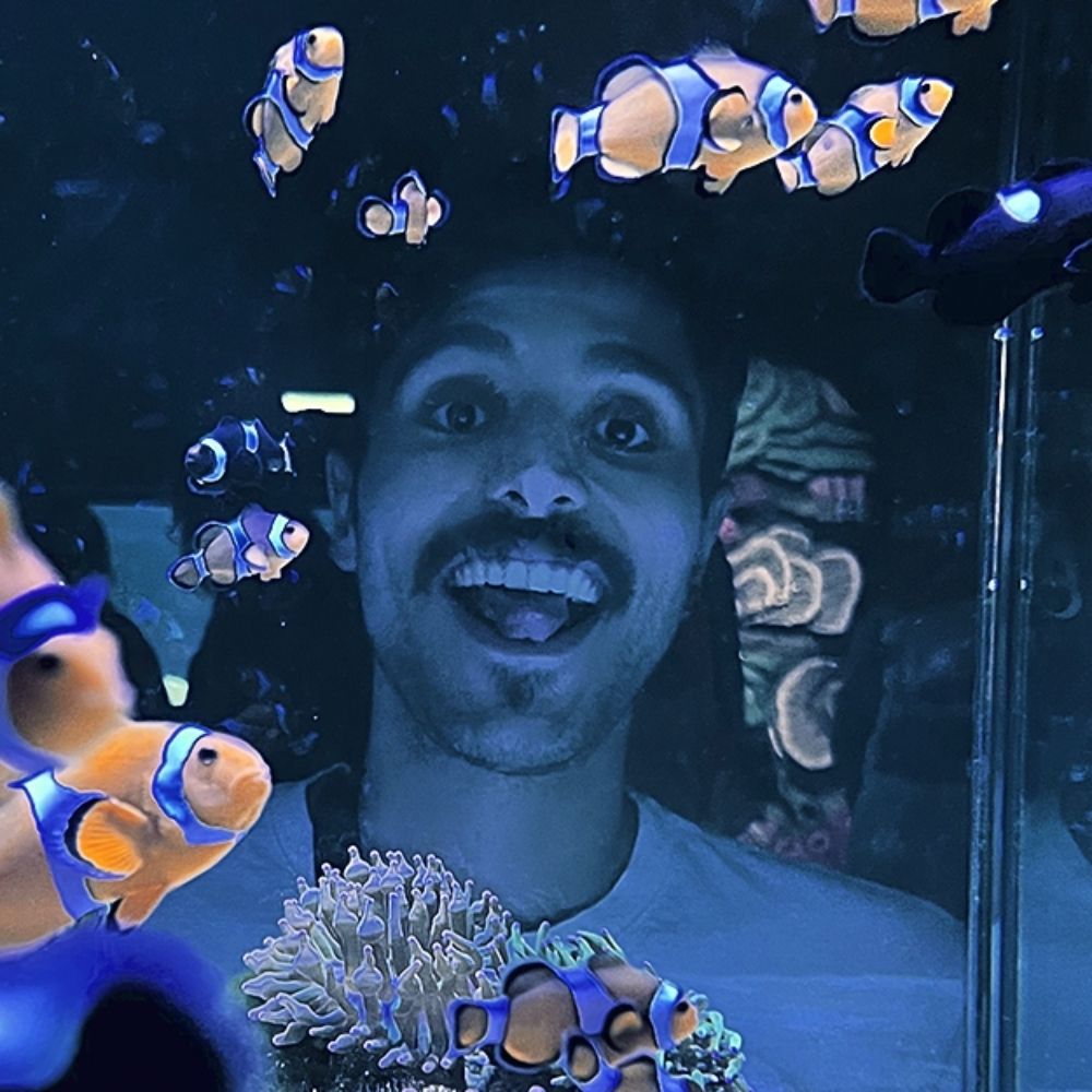 Pedro Nolasco