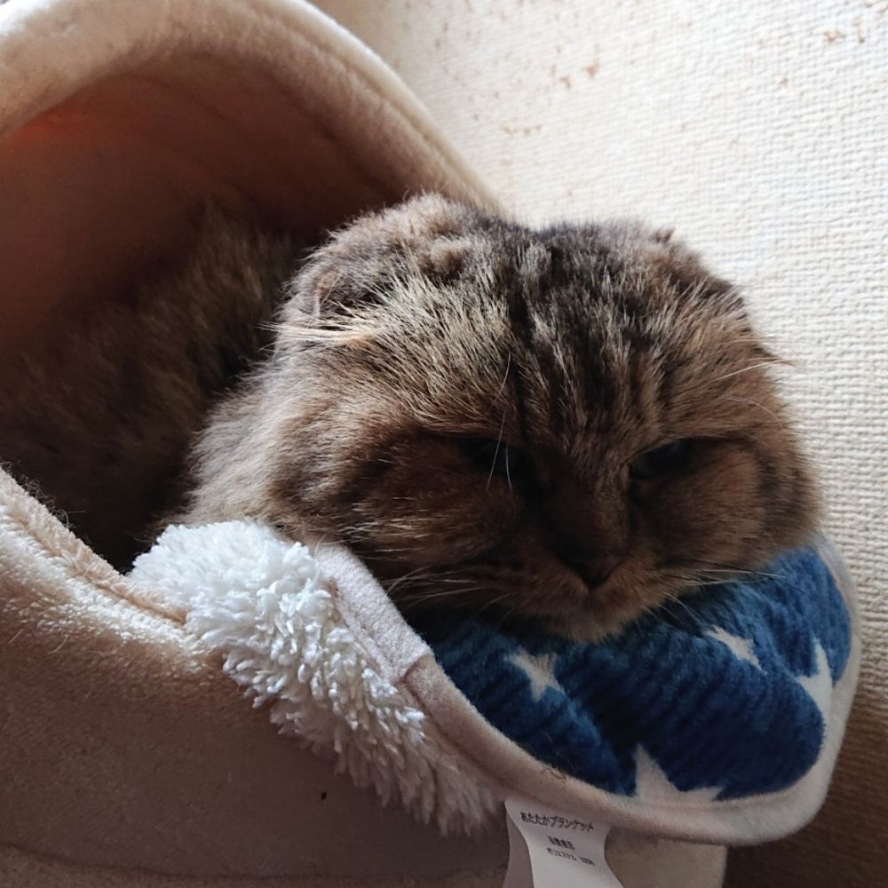 相馬