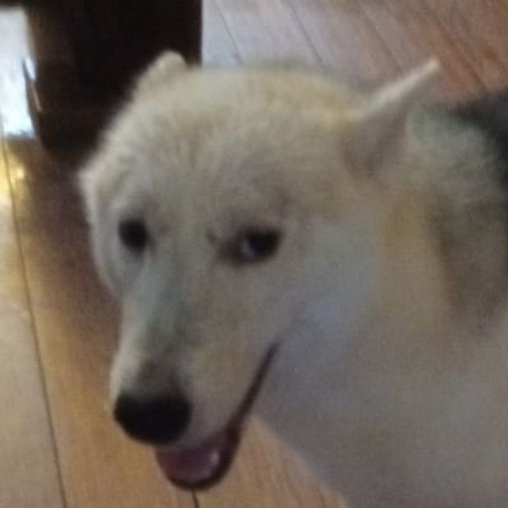xanran