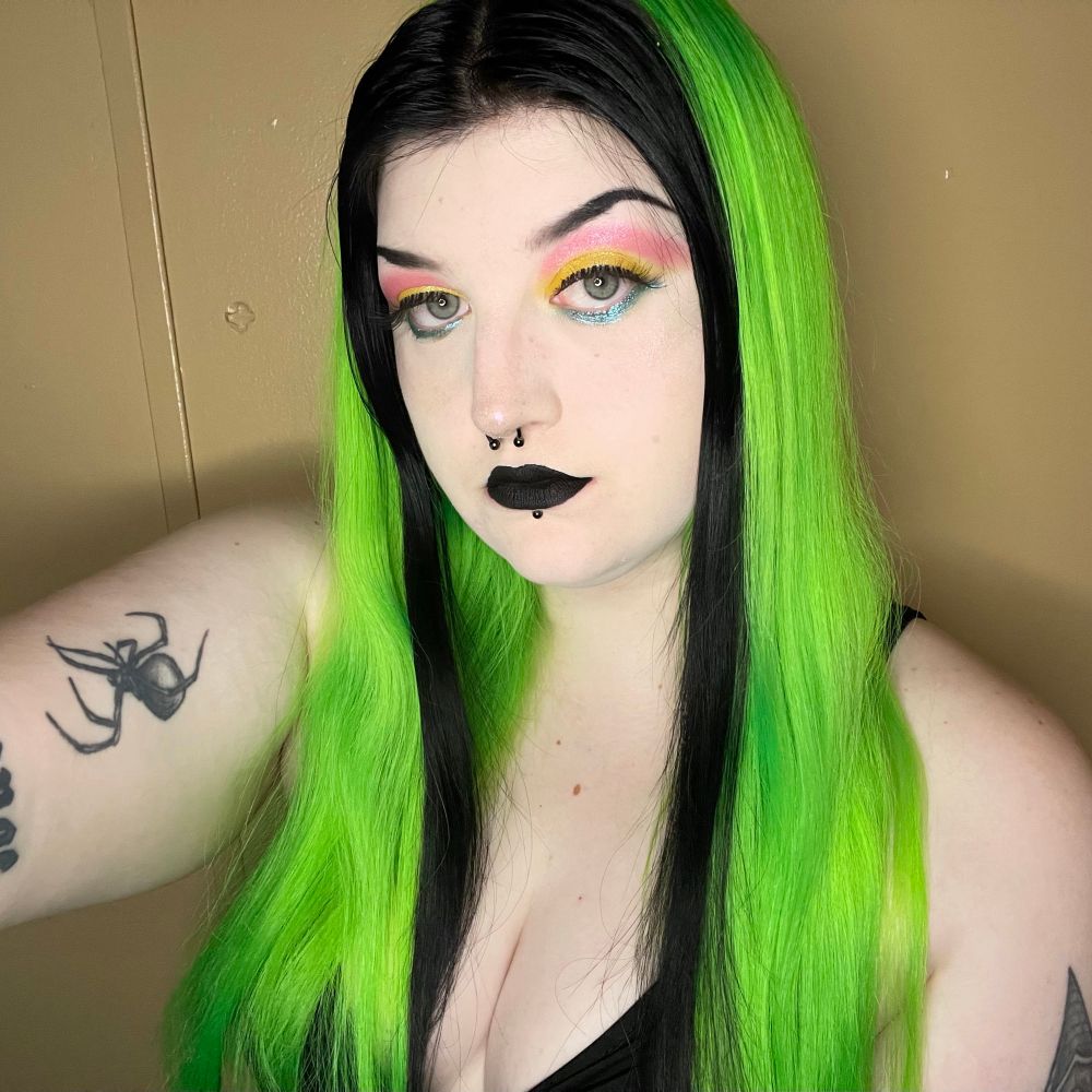 katt 🦇