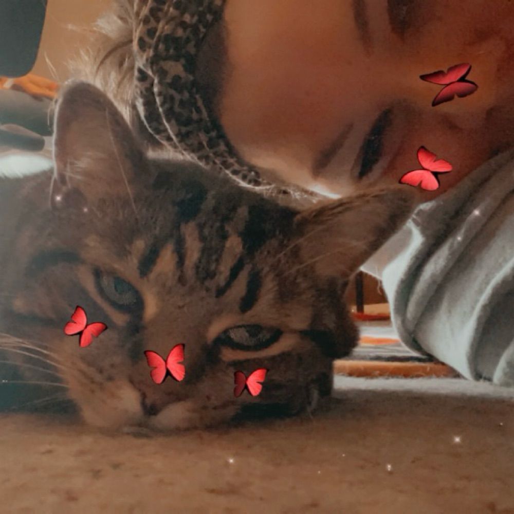 𝔟𝔯𝔦 𓆩♡𓆪