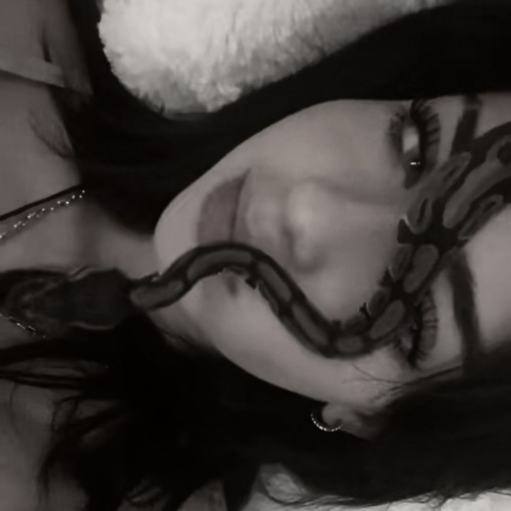pati 🐍 | 📖 corrupt