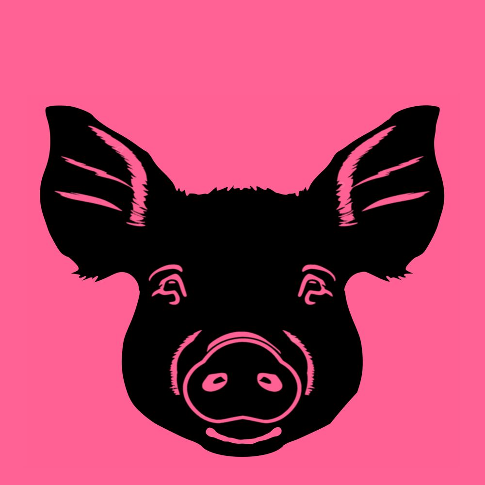 THE BACON HAROLD