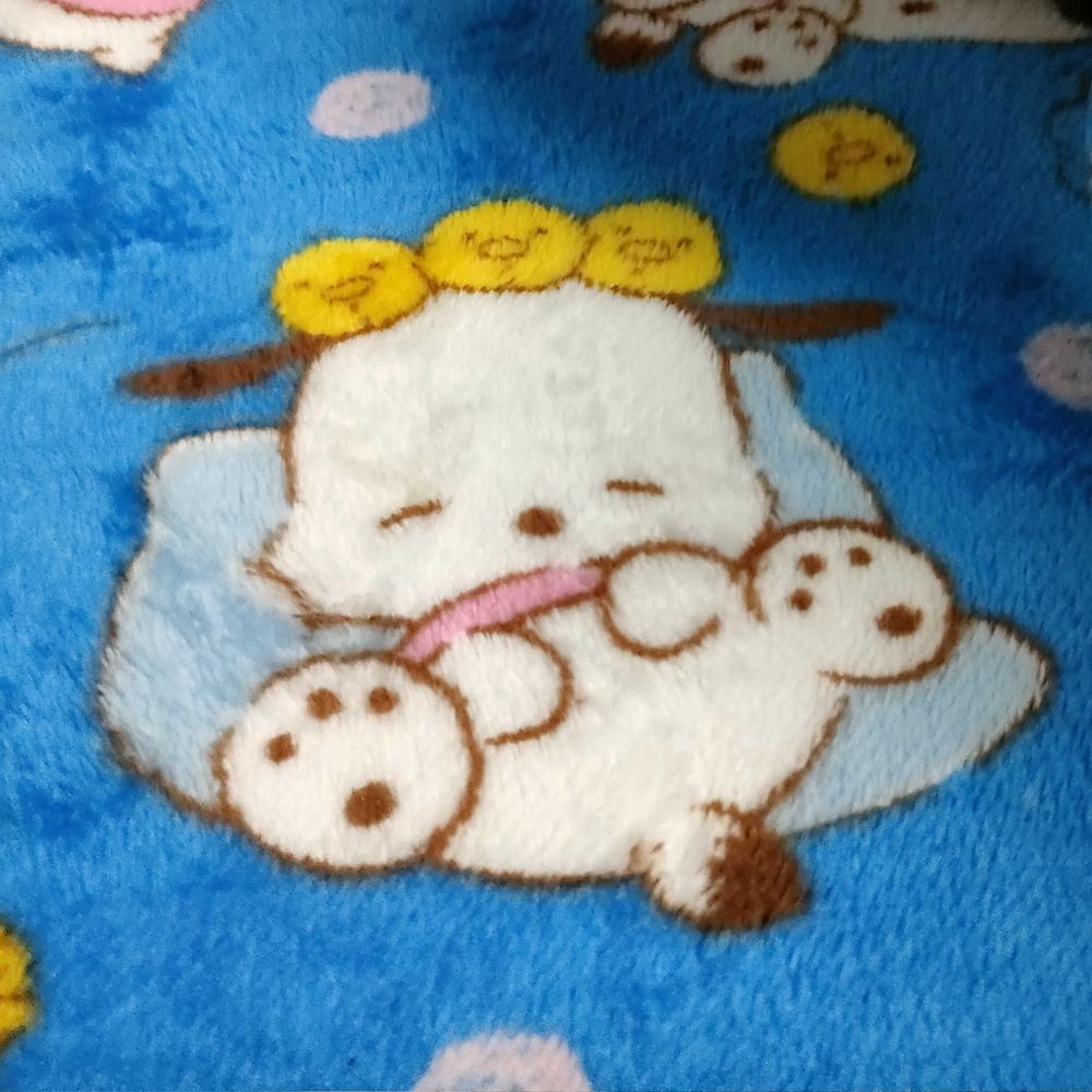 クリスターバックオフ香椎