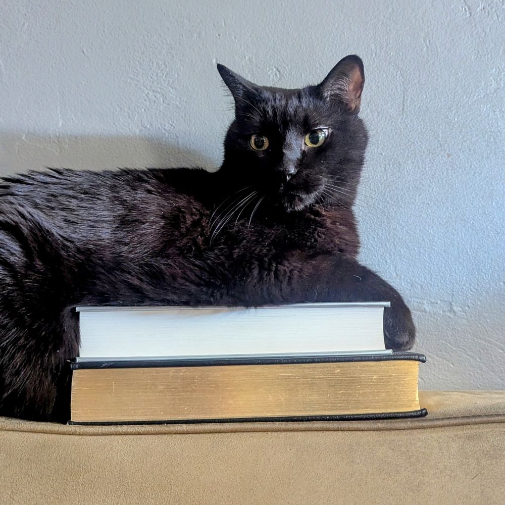 Quantized Cat