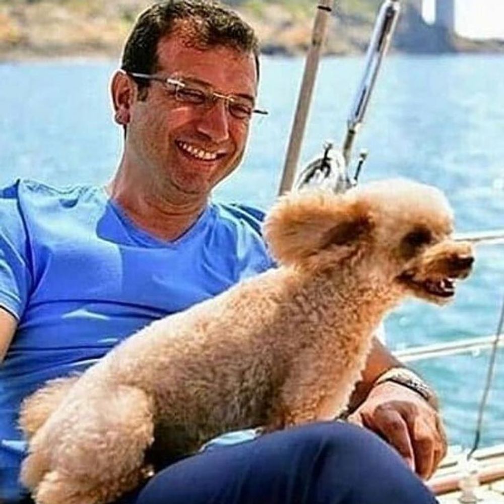 sinyor