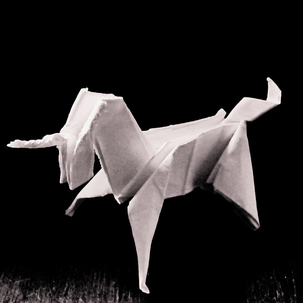 DocHobby