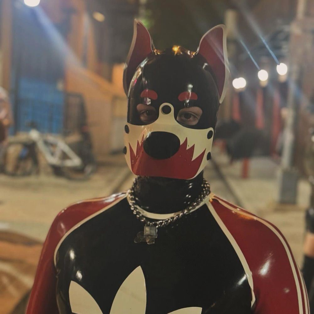 Pup Spice