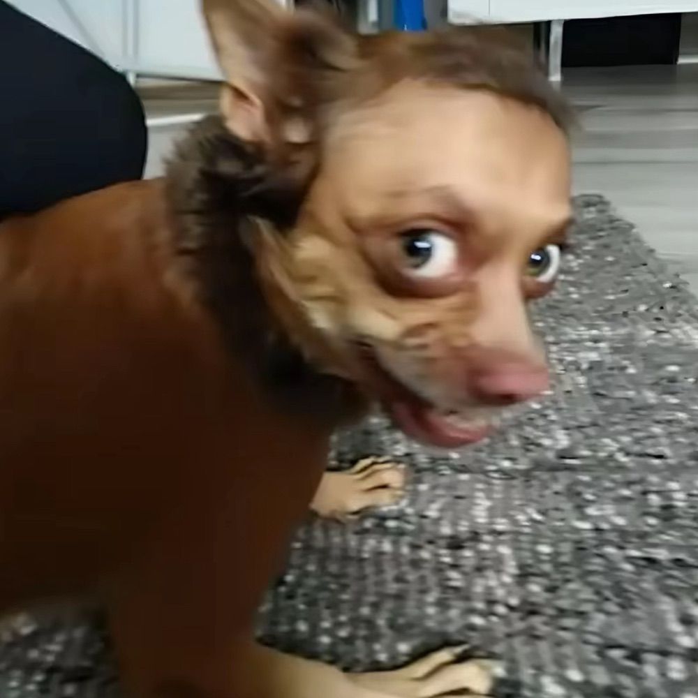 kafezzz