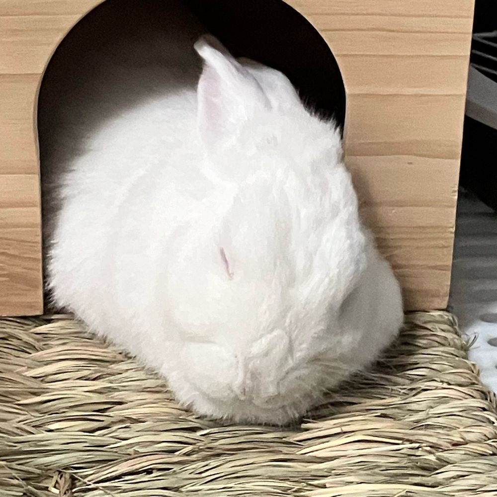 びゅーん
