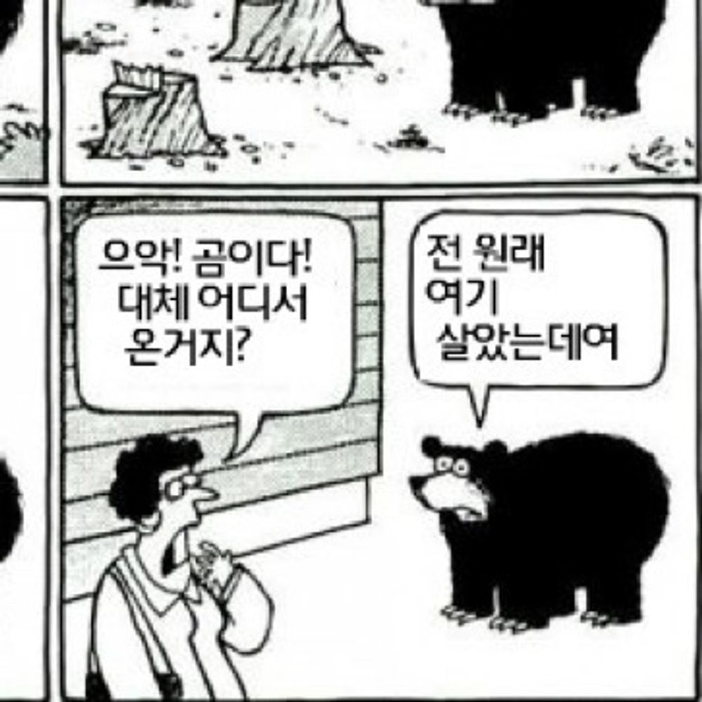 념체