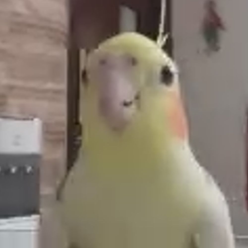 Zicer's avatar