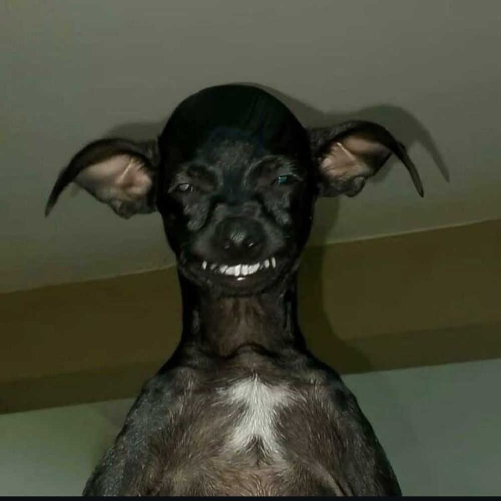 Nea