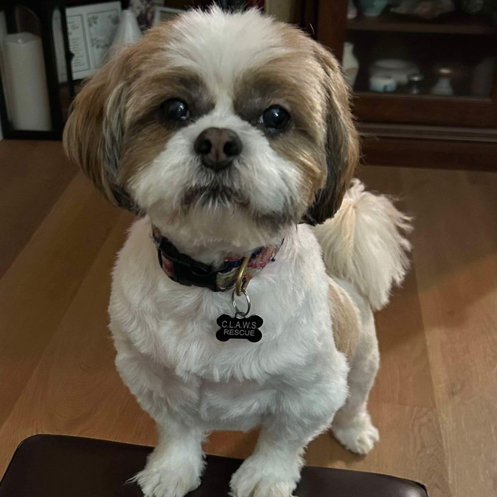 Max