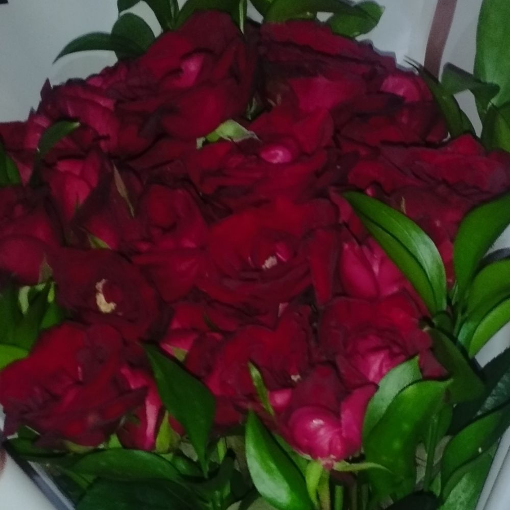 red