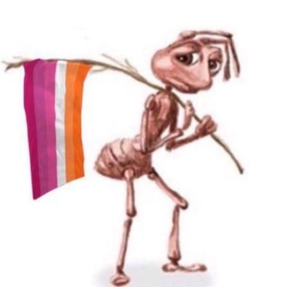 Syl_oui