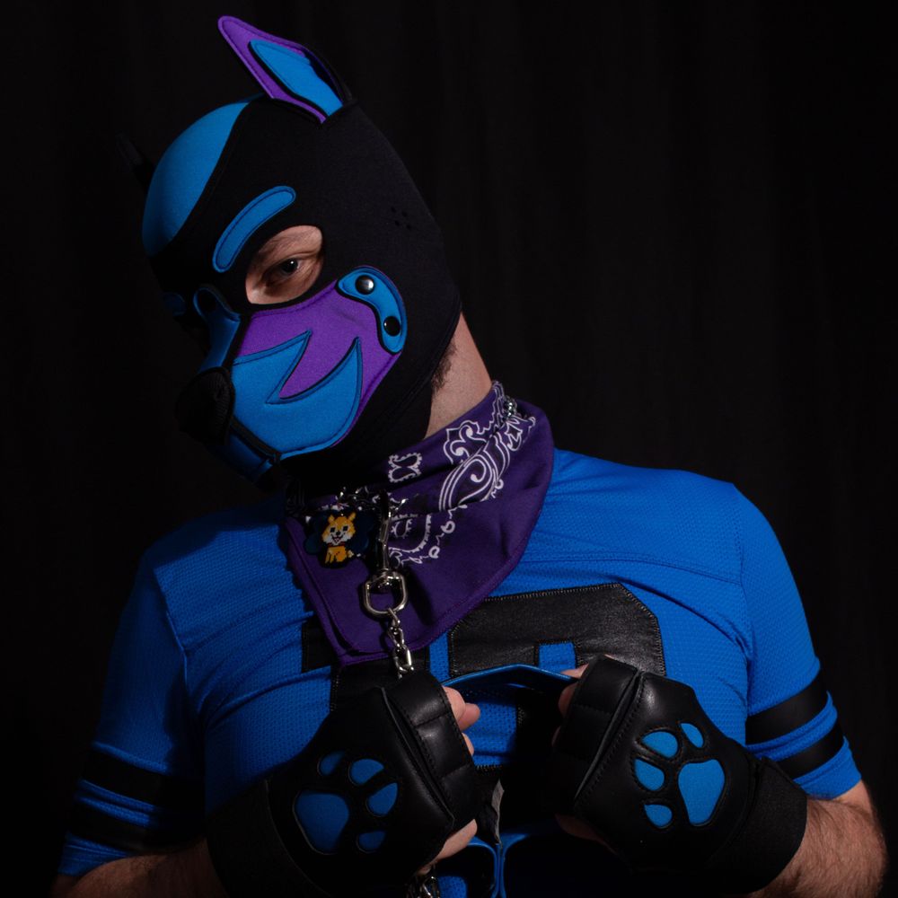 Pup Theo