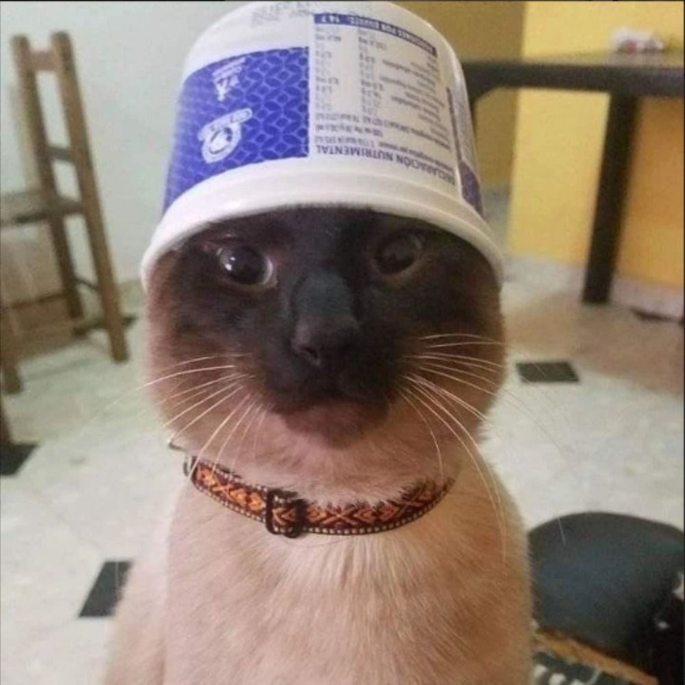 Rodrigo