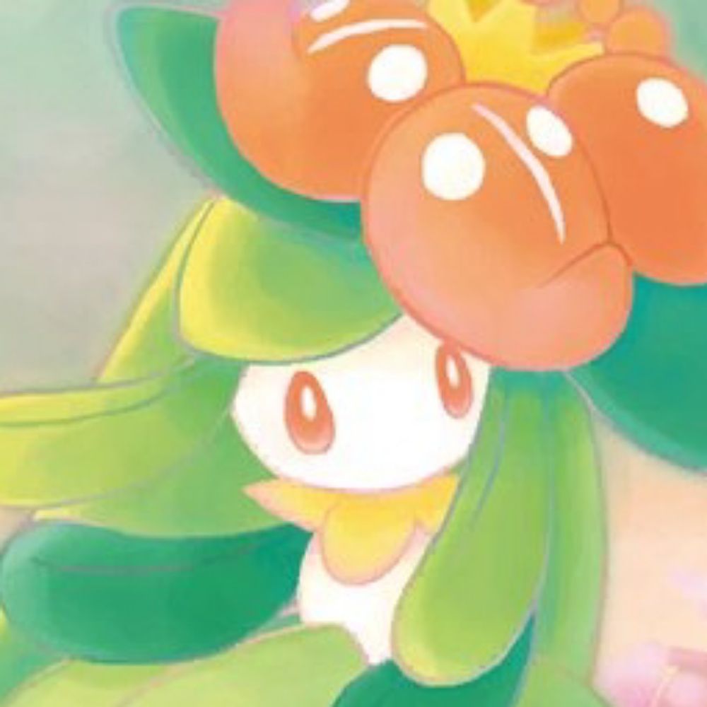 Pachi