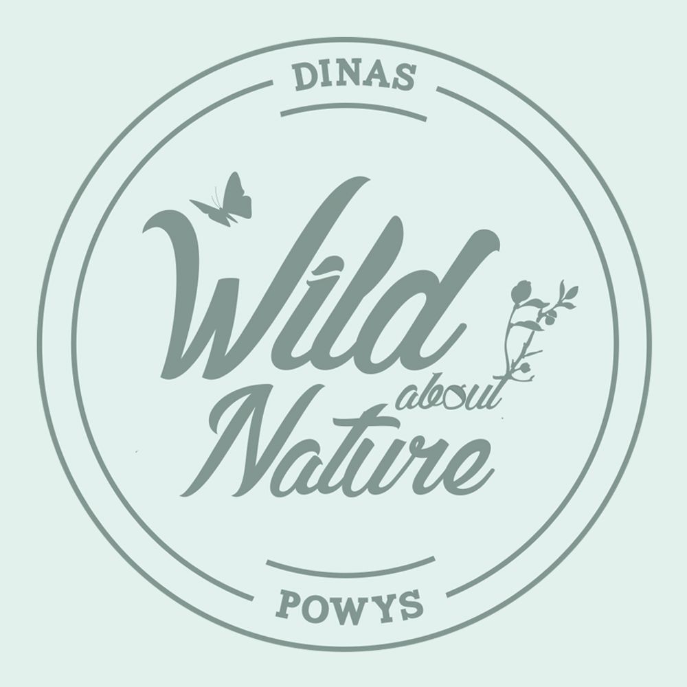 Wild About Nature Dinas Powys