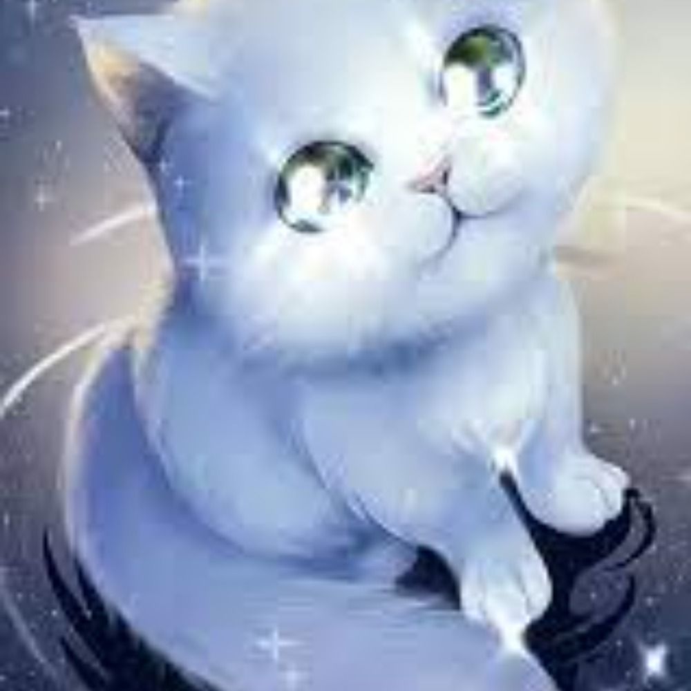 Jacky