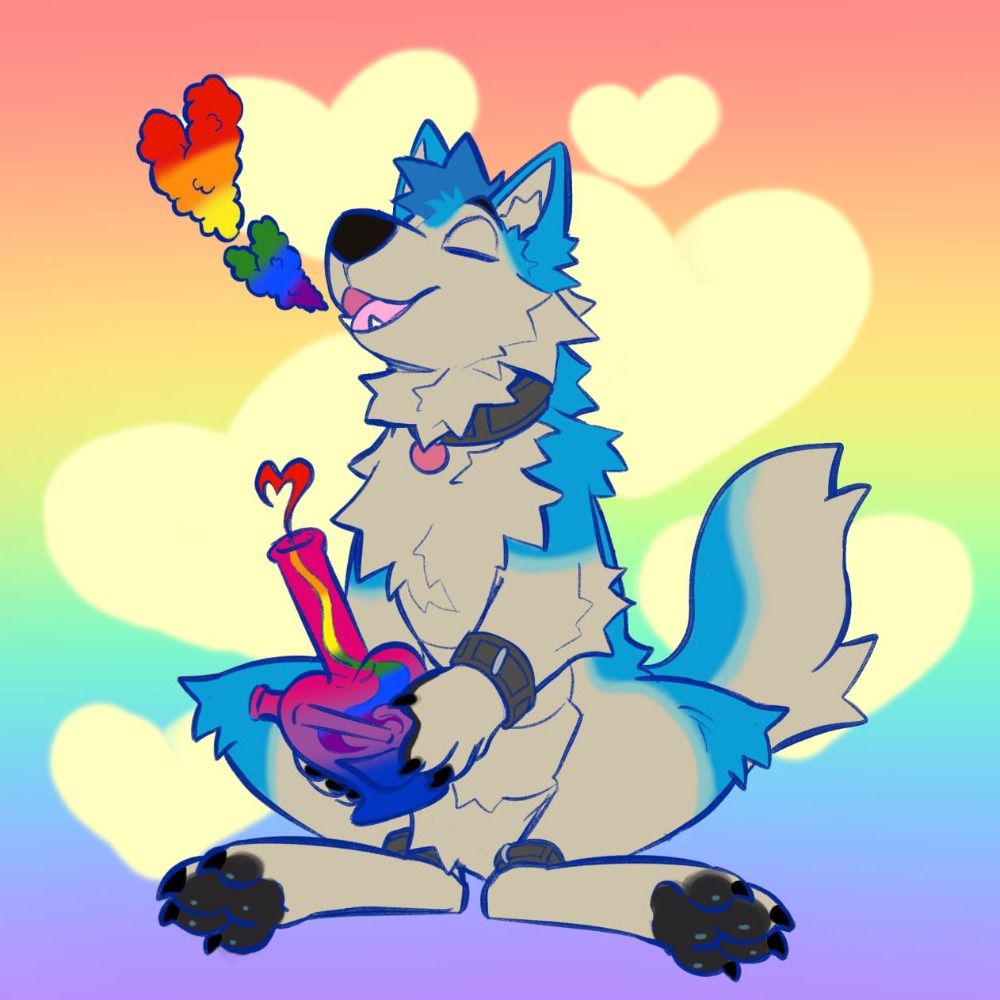 ~Coco Husky~