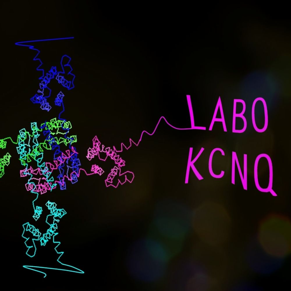 KCNQ Lab