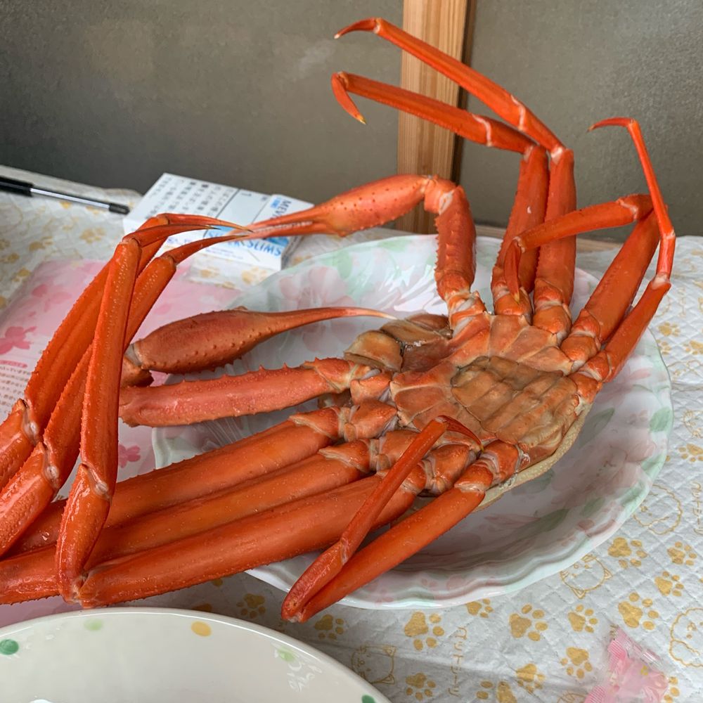 くそでけえ犬